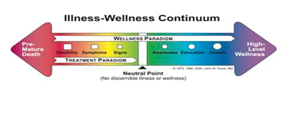 Understand the Human Experience across the Health-Illness Continuum ...